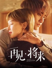 再见,将来